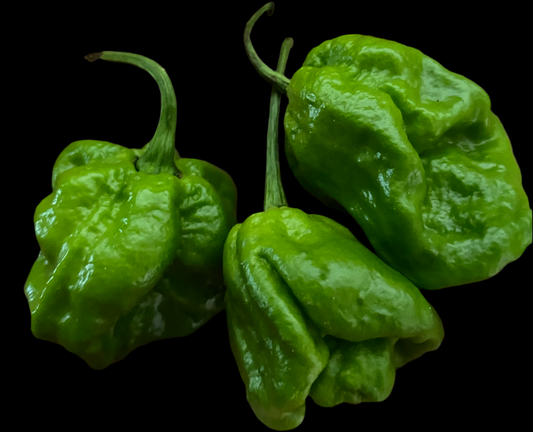 Mustard Reaper