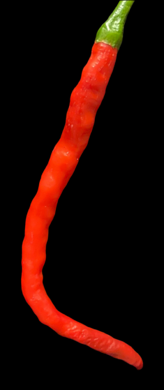 Long Red Cayenne