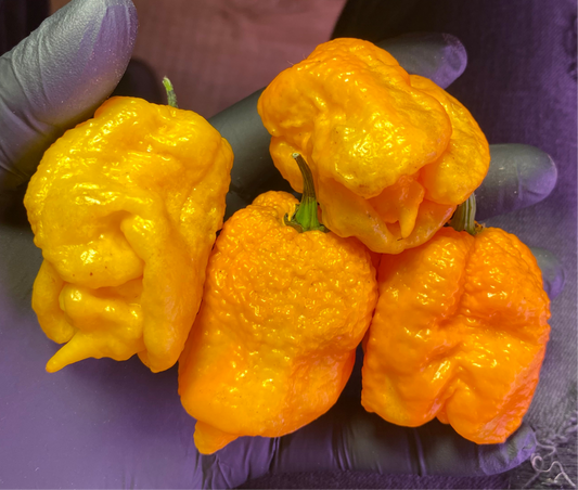 Yellow Reaper