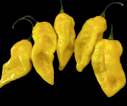 Hells Bent Yellow