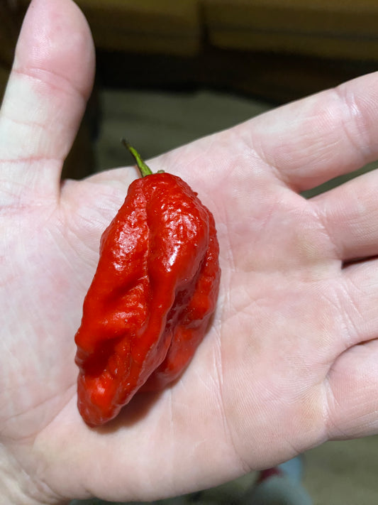 Super Bhut Reaper