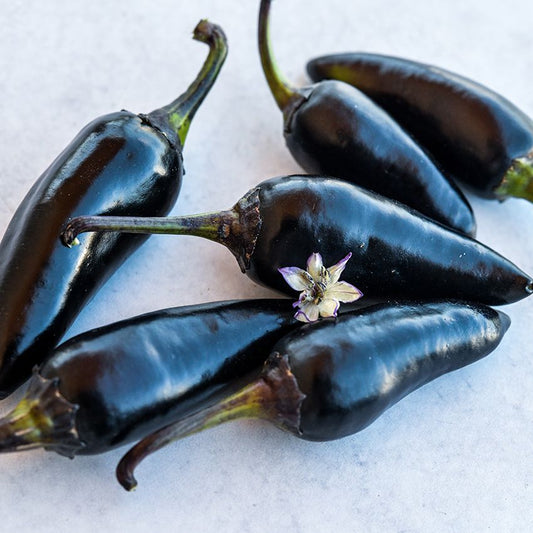 Hungarian black