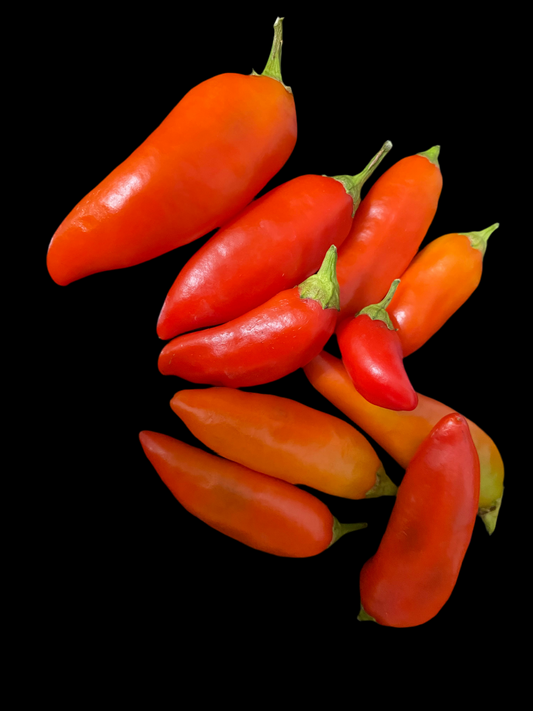 Spicy Jane