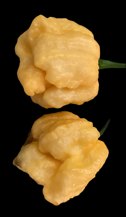 Peach Moruga