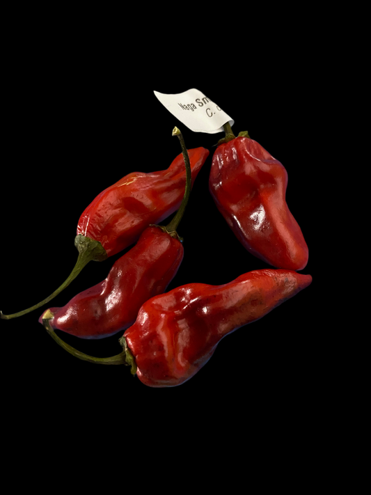 Naga Smoky Rainbow